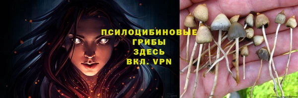 тгк Бронницы
