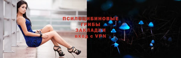 тгк Бронницы
