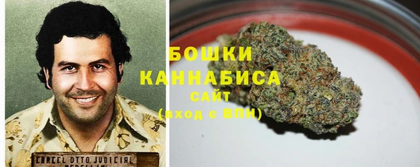тгк Бронницы