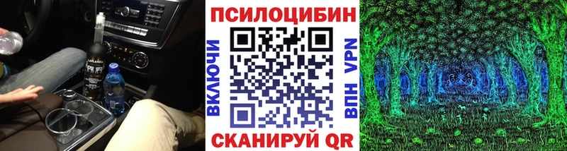 закладка  Обь  Псилоцибиновые грибы прущие грибы 